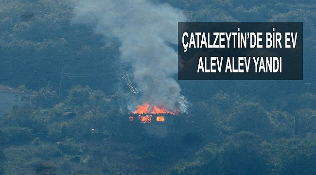 Hamidiye köyünde bir ev alev alev yandı