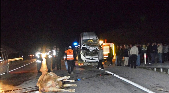 Sinop'ta trafik kazası: 1 ölü, 1 yaralı