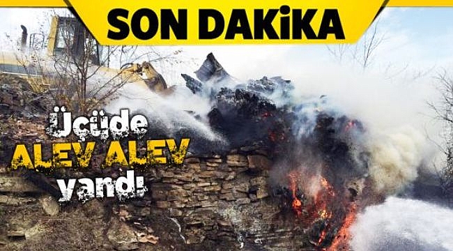 Gerze'de 3 ev ve 2 samanlık yandı