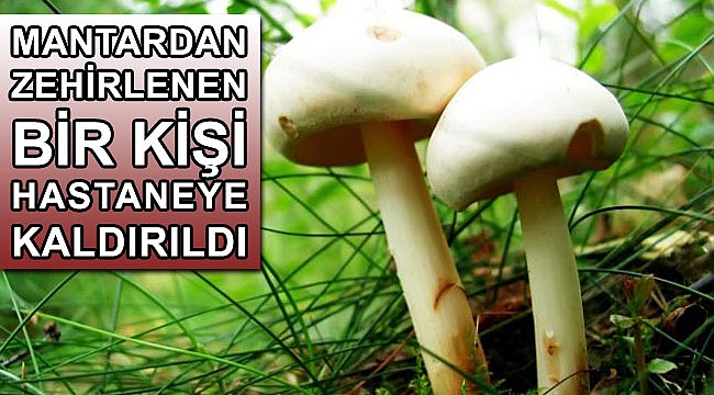 Mantardan zehirlenen kişi hastaneye kaldırıldı