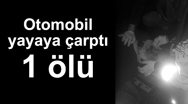 Otomobil yayaya çarptı: 1 ölü