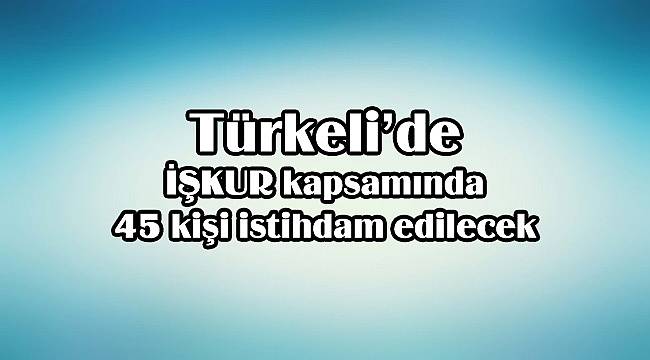 Türkeli'de İŞKUR kapsamında 45 işçi alınacak