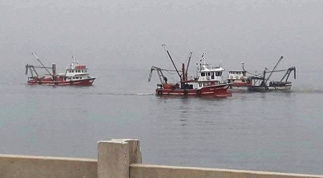 Çatalzeytin'de kum midyesi avcılığına çevrecilerden tepki