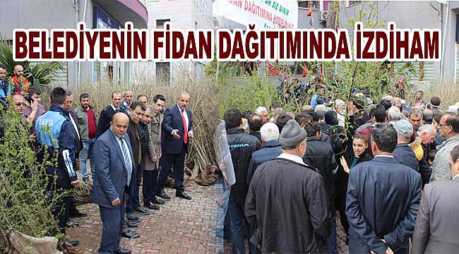 Belediyenin fidan dağıtımında izdiham