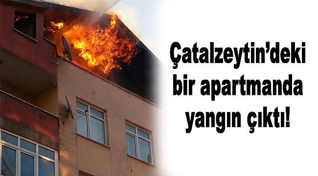 Çatalzeytin'de korkutan yangın