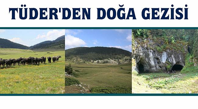 Türkeli'de doğa gezisi yapılacak