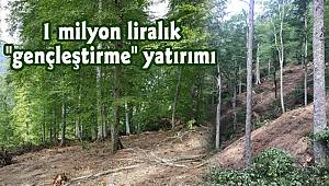 1 milyon liralık 
