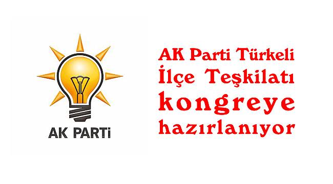 AK Parti Türkeli İlçe Teşkilatı kongreye hazırlanıyor