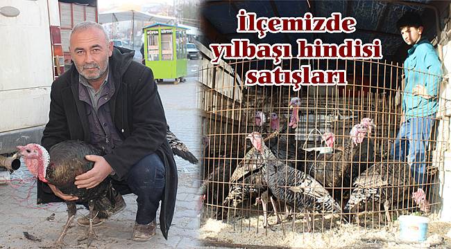 İlçemizde yılbaşı hindisi satışları