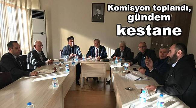 Komisyon toplandı, gündem kestane