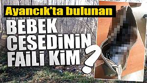 Ayancık'ta çanta içinde bulunan çocuk cesedi 