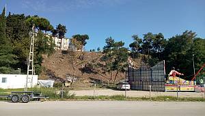 Sinop'taki ağaç katliamına 