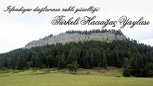 İsfendiyar dağlarının saklı güzelliği: Hacıağaç Yaylası
