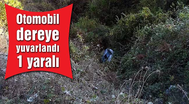 Otomobil dereye yuvarlandı: 1 yaralı