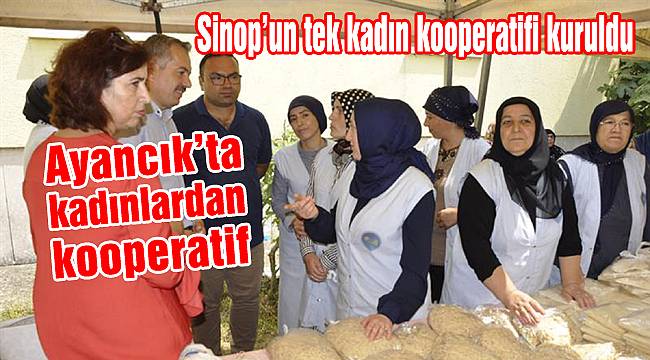 Ayancık'ta kadın girişimci kooperatifi kuruldu