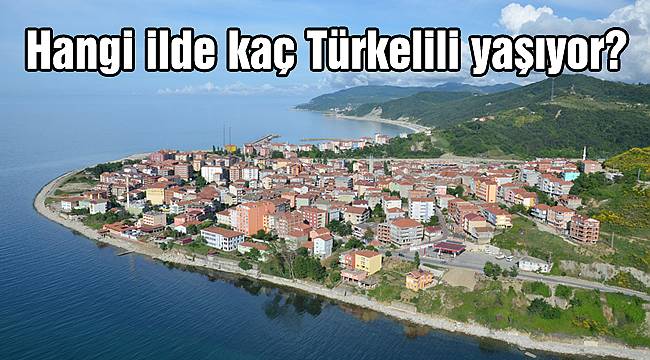 Hangi ilde kaç Türkelili yaşıyor?
