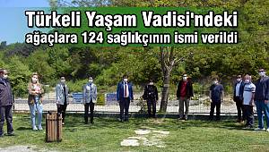 Türkeli Yaşam Vadisi'ndeki ağaçlara 124 sağlıkçının ismi verildi