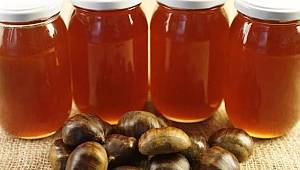 Bölgemizde üretilen kestane balı tescilleniyor 