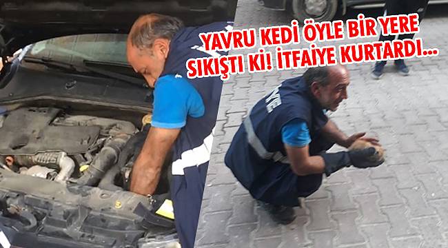 Türkeli'de otomobilin motoruna sıkışan yavru kedi kurtarıldı