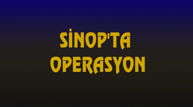 Sinop'ta fuhuş operasyonunda 4 kişi tutuklandı