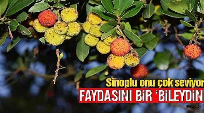 Şimdi
