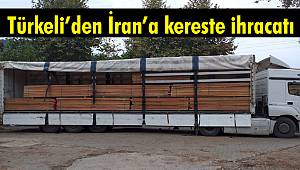 Türkeli'den İran'a kereste ihracatı