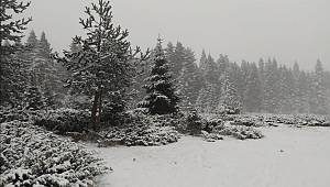 Türkeli'nin yüksek kesimlerine mevsimin ilk karı düştü