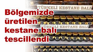 Bölgemizde üretilen kestane balı tescillendi