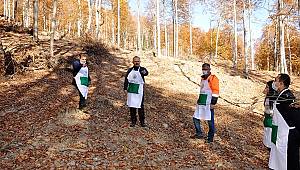 Türkeli Orman İşletme, başarılı çalışmalarla göz dolduruyor