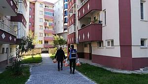 Türkeli'de 2 bin haneye meyve dağıtımı