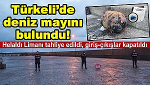 Türkeli'de deniz mayını bulundu!