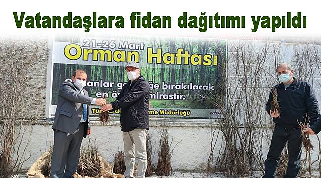 Vatandaşlara fidan dağıtımı yapıldı