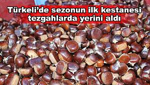 Türkeli'de sezonun ilk kestanesi tezgahlarda yerini aldı