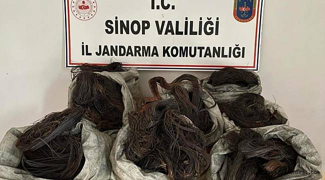 Ayancık'ta kablo hırsızlığı operasyonu: 3 gözaltı