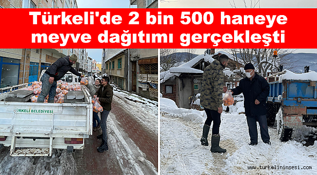 Türkeli'de 2 bin 500 haneye meyve dağıtımı gerçekleşti