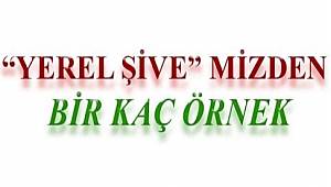 Yöremiz şivesi, deyimler ve sık kullanılan sözler