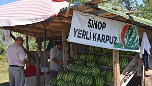 Meşhur Sinop Karpuzu tezgahlarda