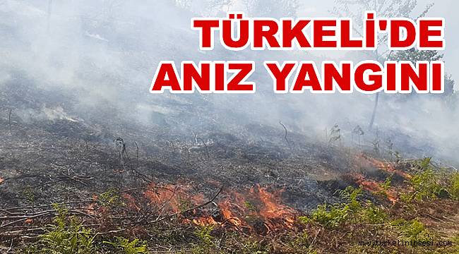 Türkeli'de anız yangını