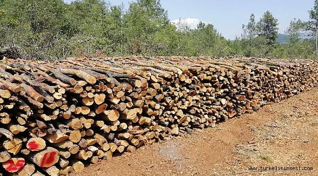 Şanlan: Orman köylüsünün haklarını geri verin