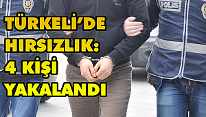 Türkeli'de hırsızlık: 4 kişi yakalandı