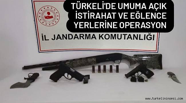 Türkeli'de umuma açık istirahat ve eğlence yerlerine operasyon