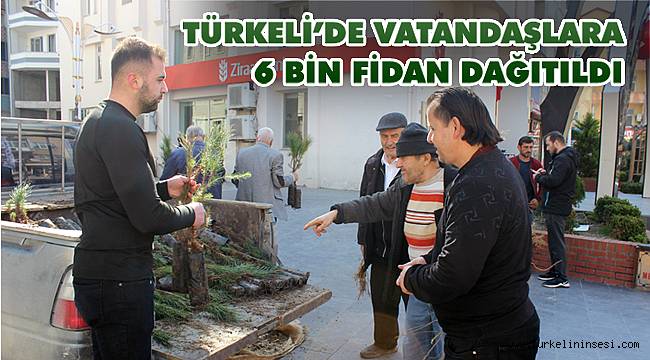Türkeli'de vatandaşlara 6 bin fidan dağıtıldı