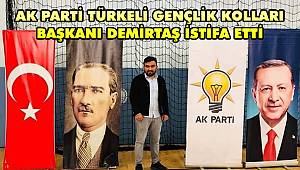 AK Parti Türkeli Gençlik Kolları Başkanı Demirtaş istifa etti