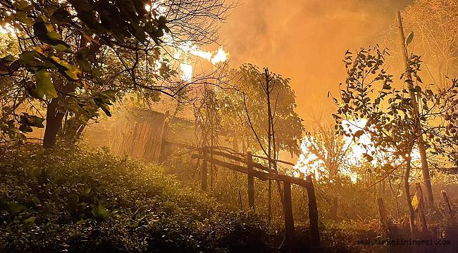 Türkeli'de 2 ev ve 6 samanlık yandı