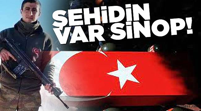 Şehit ateşi Sinop'a düştü