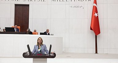 CHP'li vekilden bütçe eleştirisi