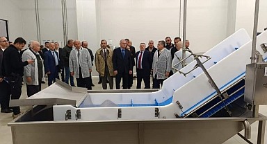 Sinop'ta Su Ürünleri İşleme Tesisi hizmete girdi