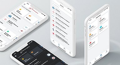 15+ üstü 100 kişiden 96'sı e-Devlet abonesi... Hizmetlerde SGK başı çekiyor