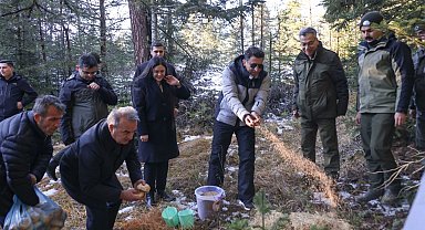 Bilecik'te yaban hayvanlarına Vali şefkati