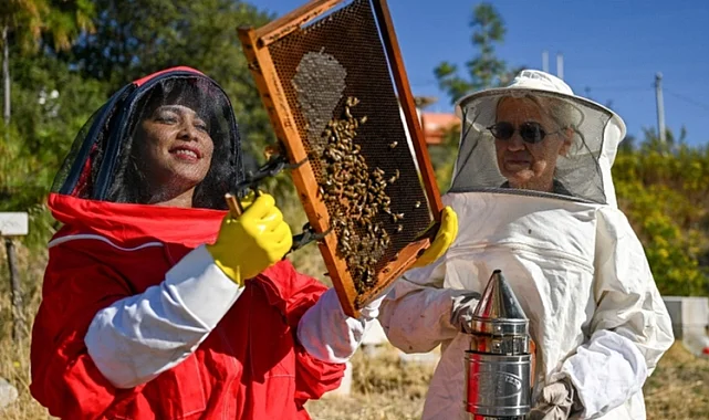 Bornova'da arıcılık kursuna kayıtlar başladı